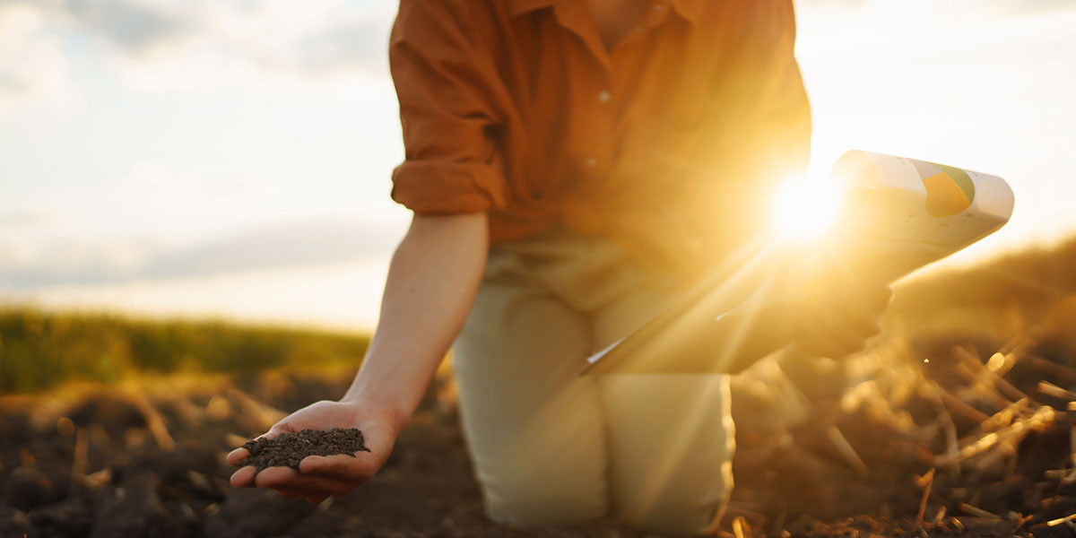 Reviving Dead Soil: The Role of Trace Minerals