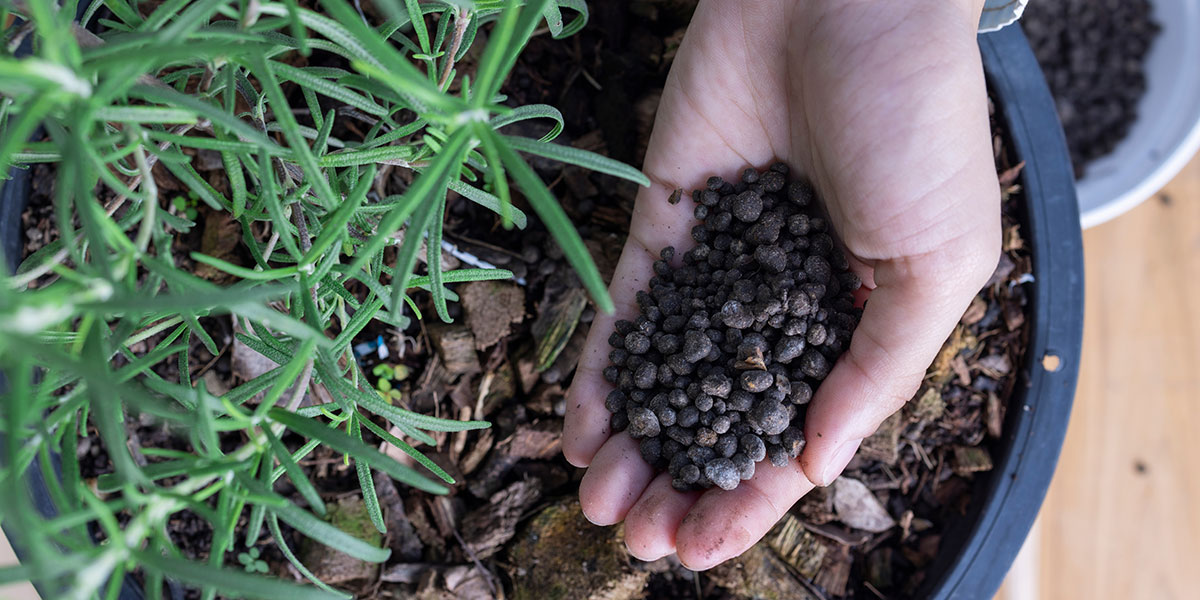 Micronized Minerals: The Secret to Healthier, Stronger Plants